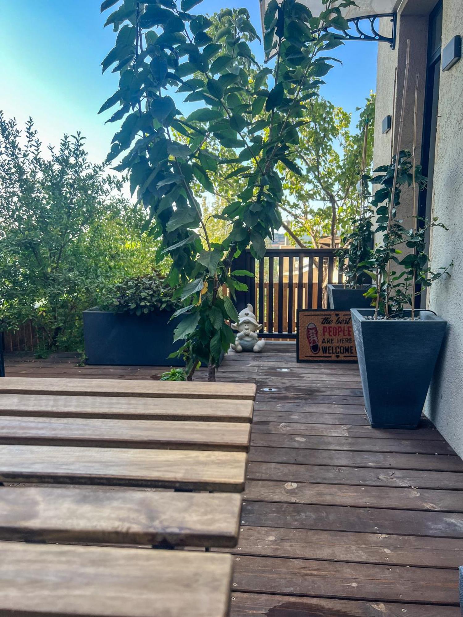 Lana'S Guest House Hurfeish Екстериор снимка